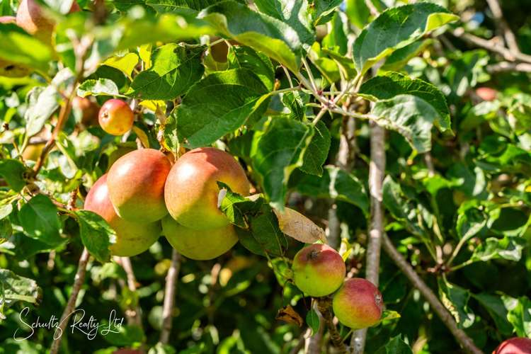 55 Gorge Road Maungaturoto_31