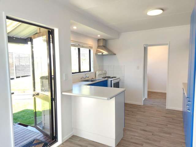 33 Tawa Street 11201_3