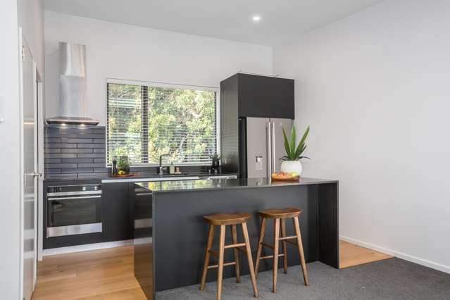 1C Wilkinson Street Oriental Bay_3