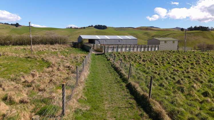 137 McLeods Road Palmerston_13