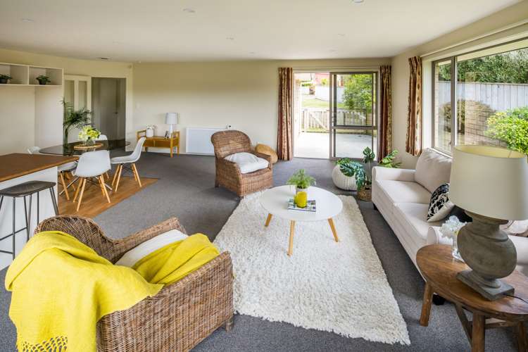 7 Catlins Glen Aotea_5