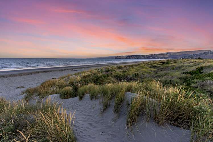 107b Rocking Horse Road Southshore_13