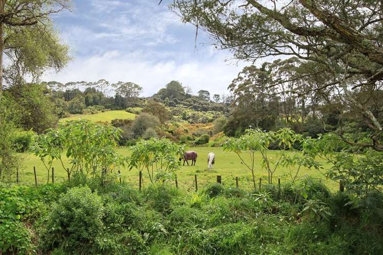 351 Henderson Valley Road Henderson Valley_8