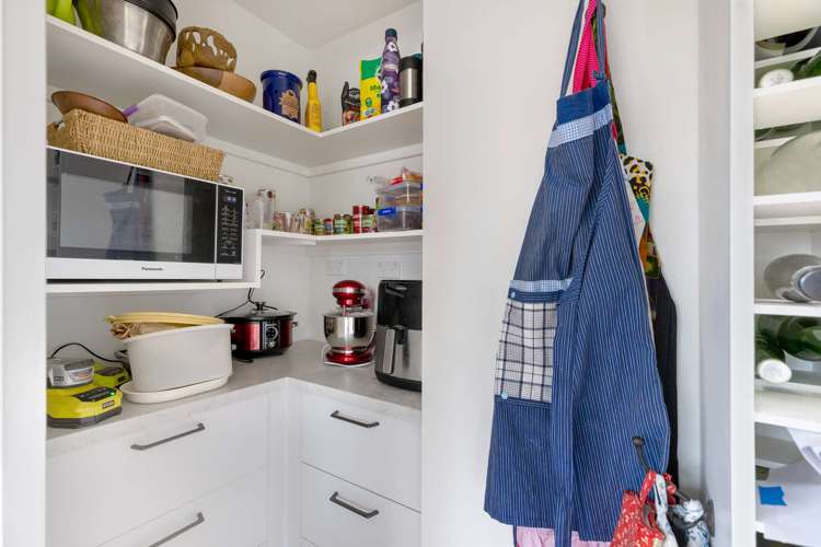 4a Wingate Street Redwood_4