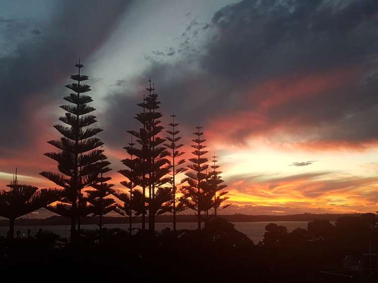 89 Pine Harbour Parade Beachlands_23