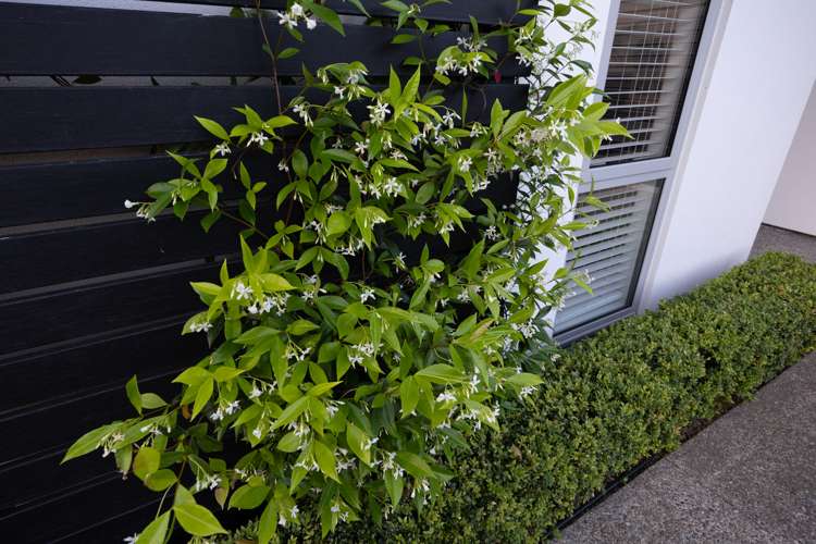 115a Te Awe Awe Street Hokowhitu_23