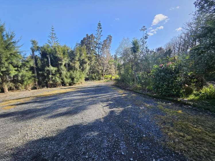 4873 State Highway 10 Lake Ohia_13