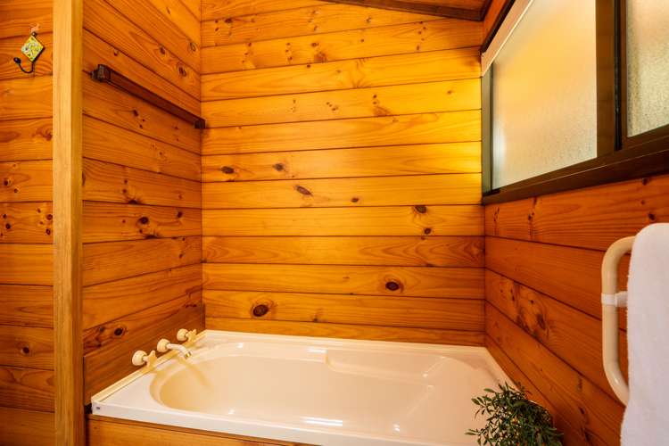 7a Roto Street Westown_14