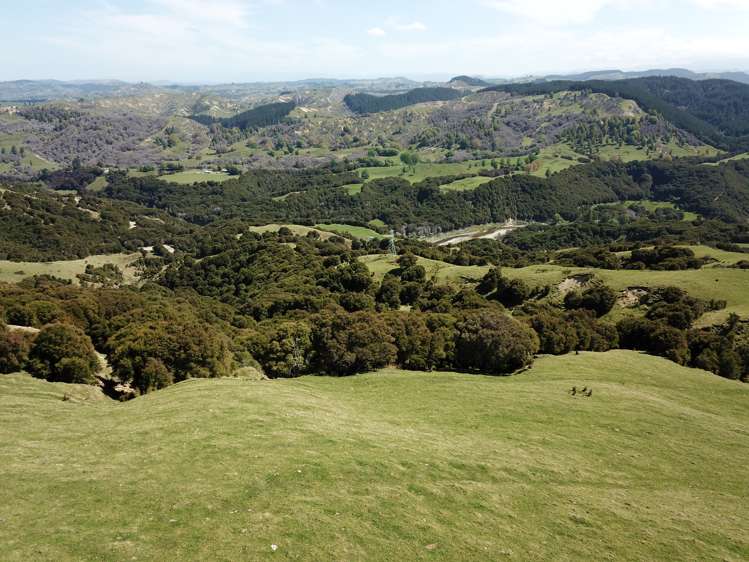 1050 Ellis Wallace Road Eskdale_9