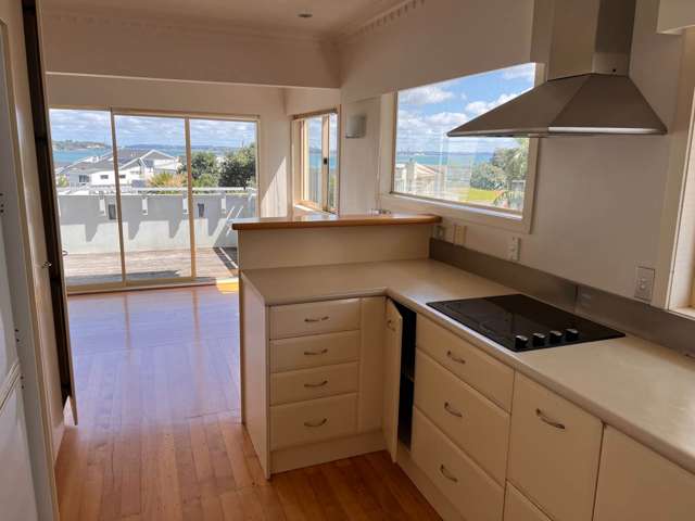 6 Clarendon Road Saint Heliers_4
