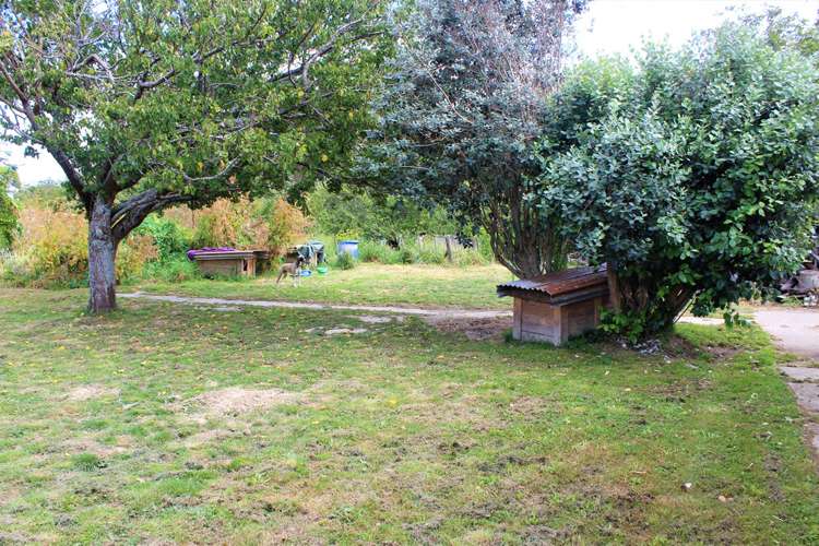 6 Ihupuku Street Waitotara_12