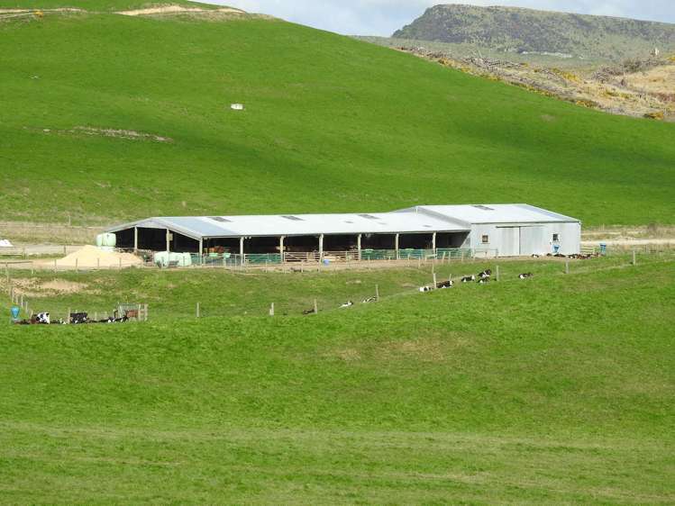 972 Slopedown Road Catlins Surrounds_5