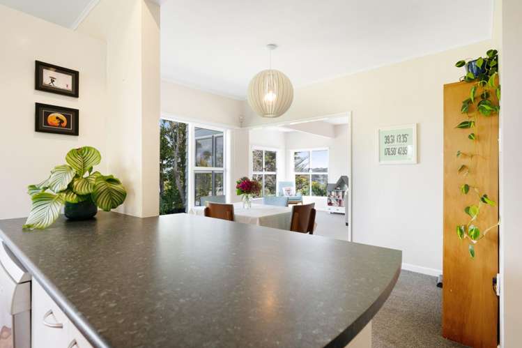 54 Bedford Street Northland_10