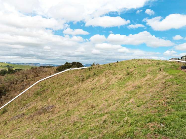 149 Waller Road Puni_7