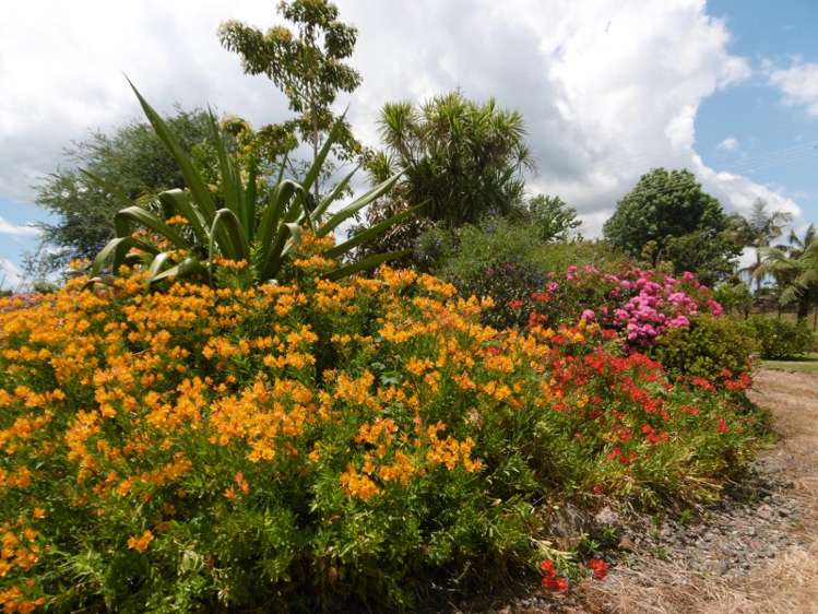 14 O'Carroll Road Maungakaramea_14