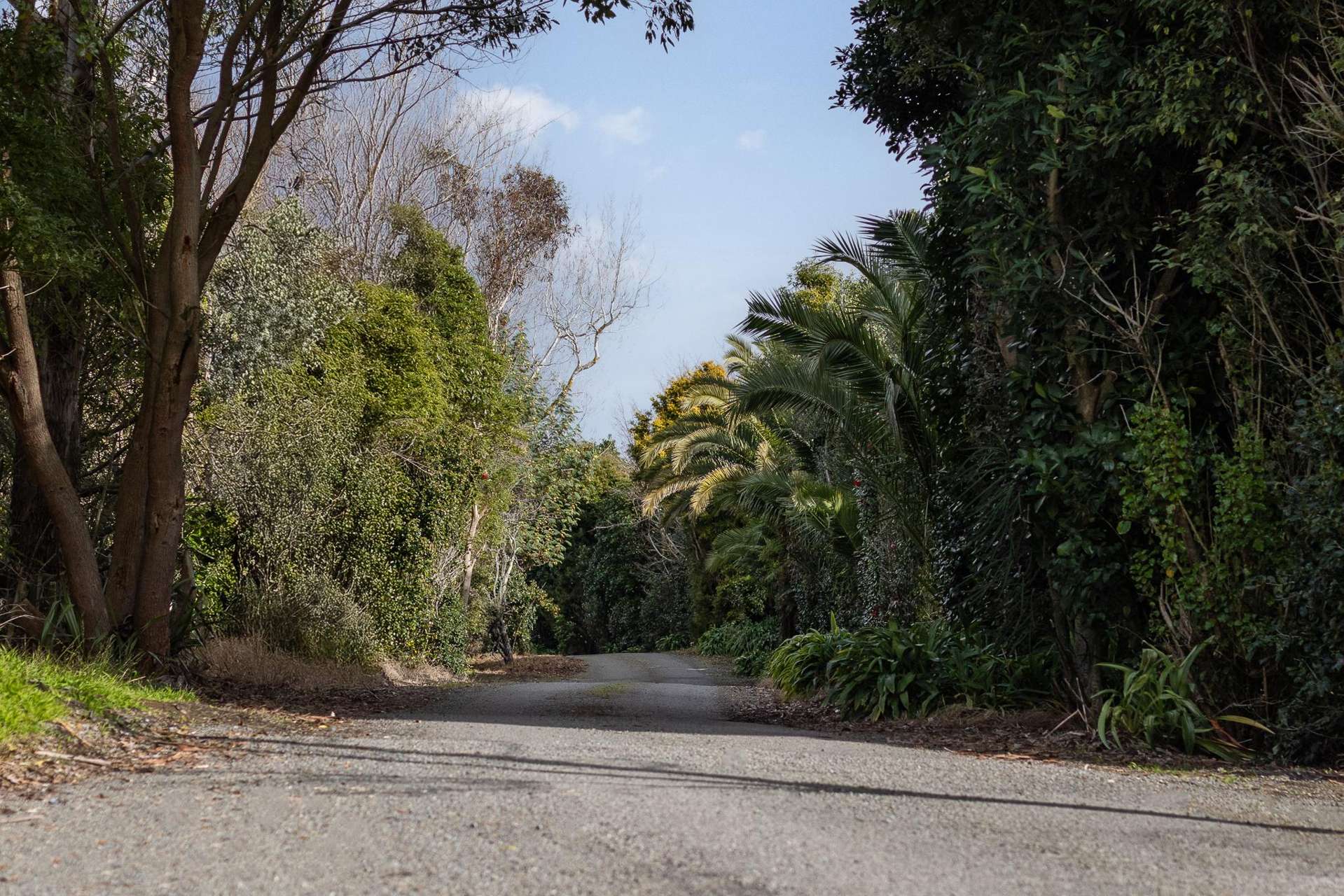 45, 49 and 51 End Farm Road Waikanae_0