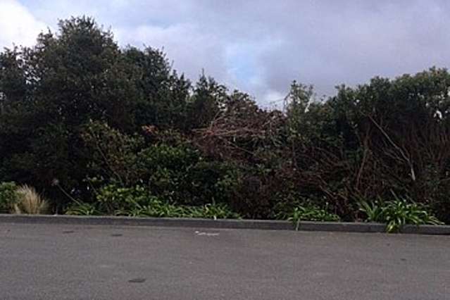 21 Imran Terrace Khandallah_4