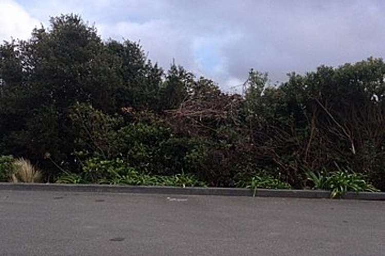 21 Imran Terrace Khandallah_4