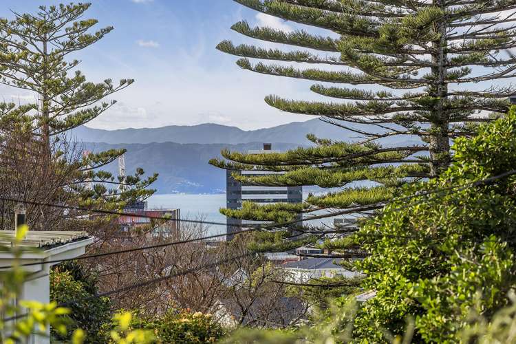 20 Upton Terrace Thorndon_15