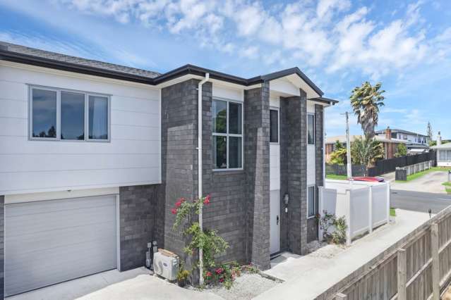 29a Landon Avenue Mangere East_2