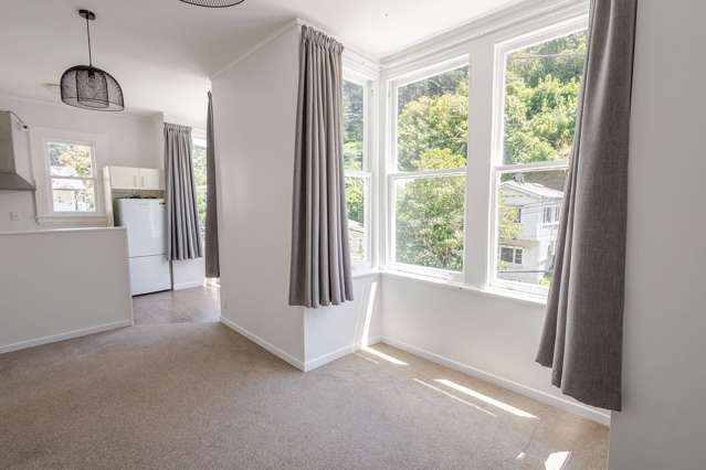 28A Adams Terrace Aro Valley_2