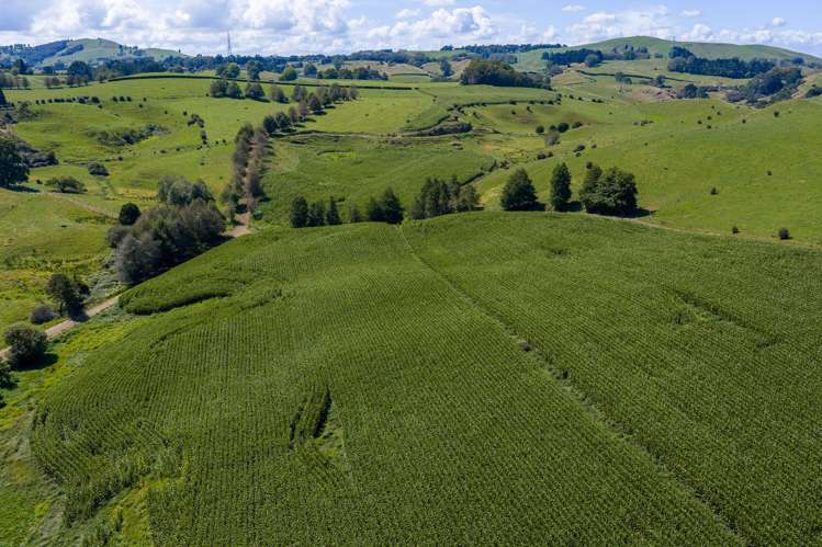 Lot 1/4/366 Karapiro Road Karapiro_23