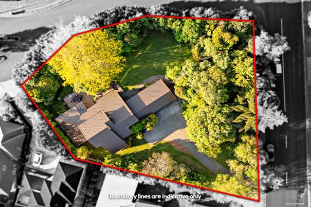 104 Cape Hill Road Pukekohe_2