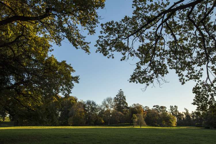 541 Beaconsfield Road Pareora West_17