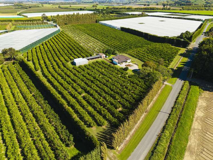 75 Brown Road Ormond_3