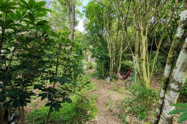 35 Belvue Bay Road Havelock_15