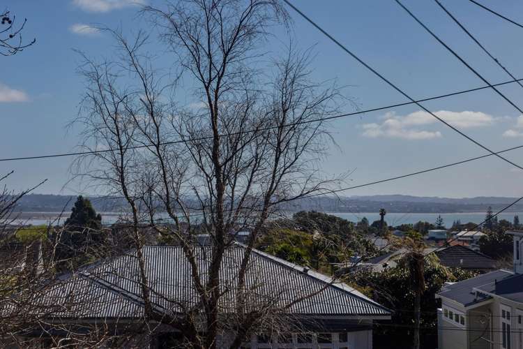 12 Ferner Avenue Mount Albert_19