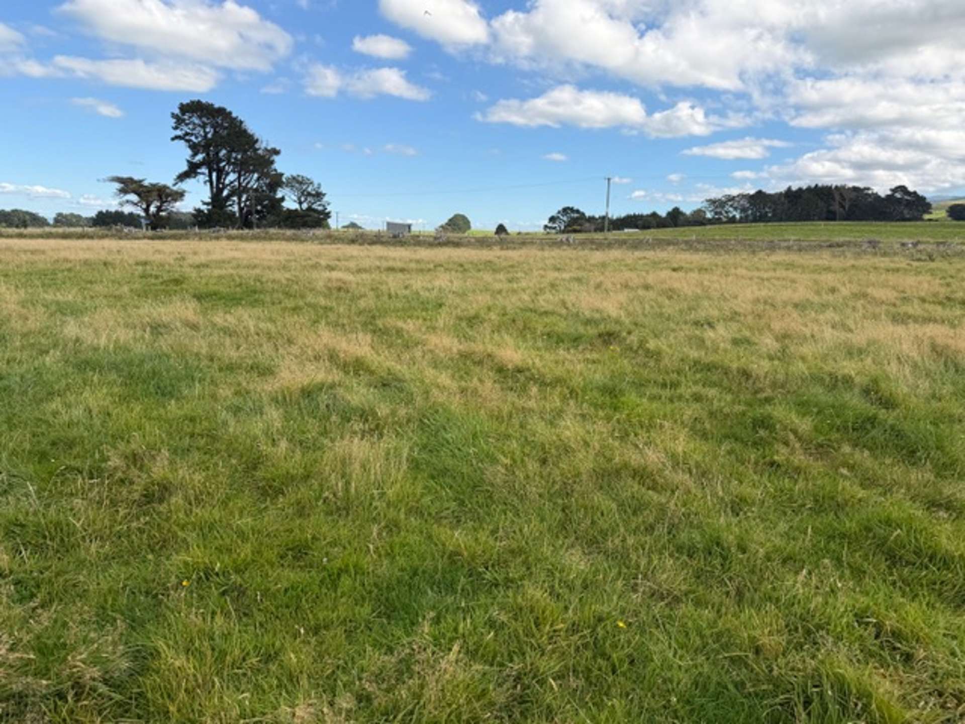 9A Cnr Tamaki East/West Roads Dannevirke_0