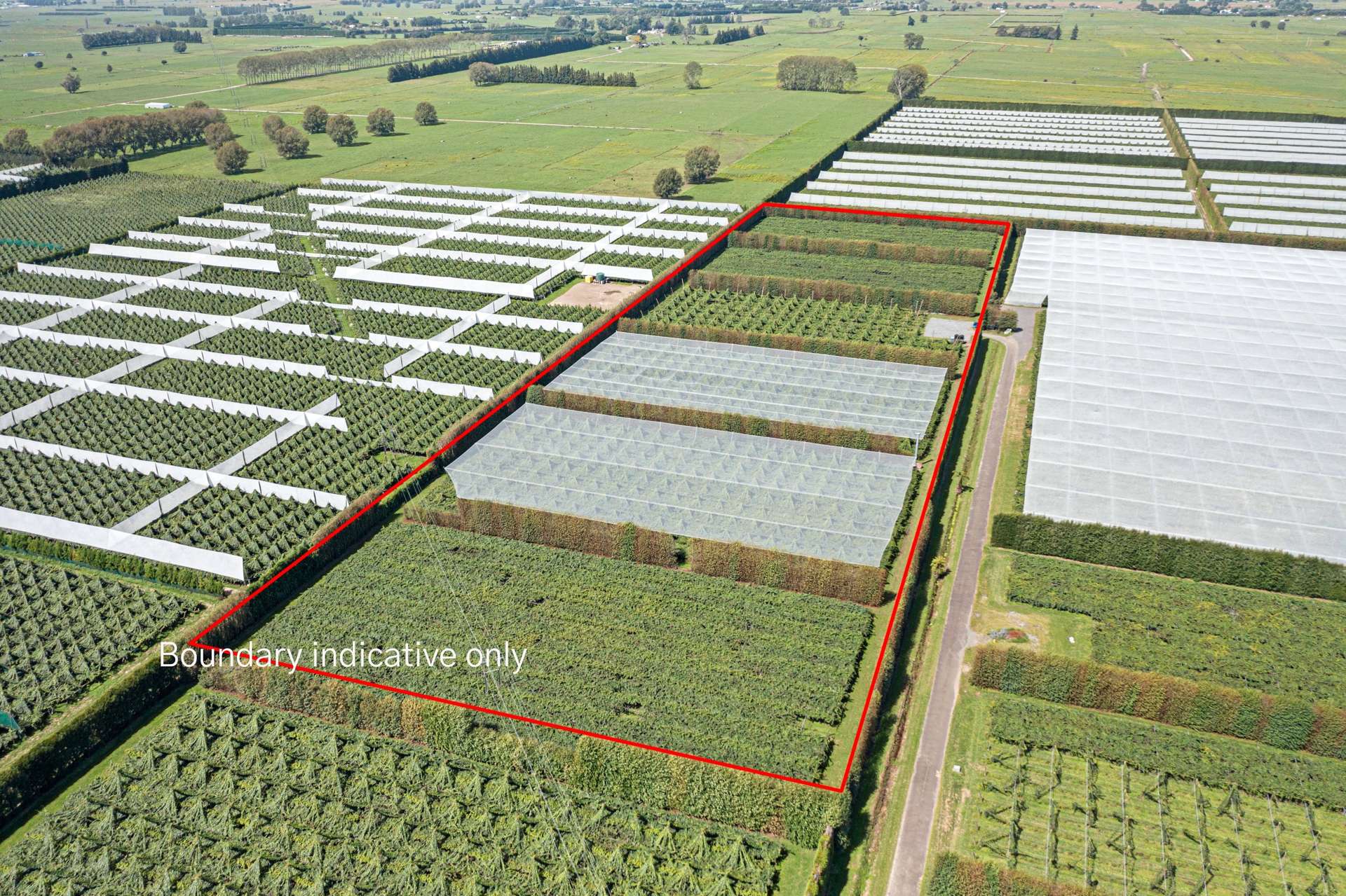 73 Orchard Road Edgecumbe_0