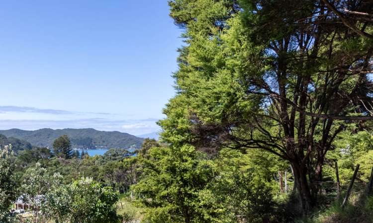 41 Medland Road Great Barrier Island_8