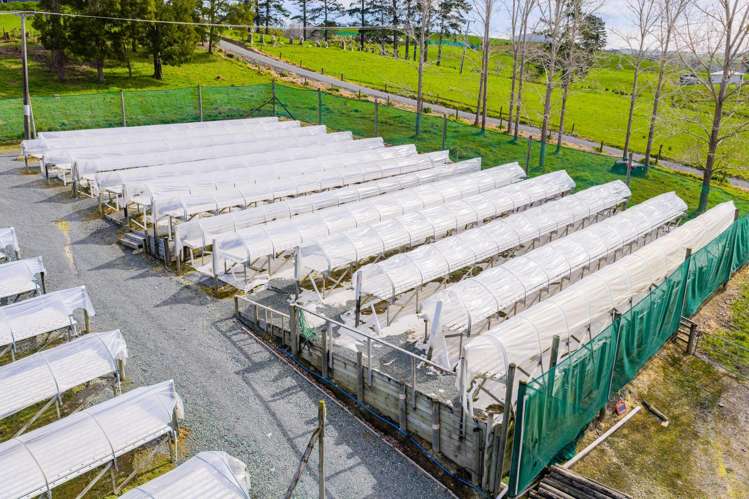 413 Otaika Valley Road_4