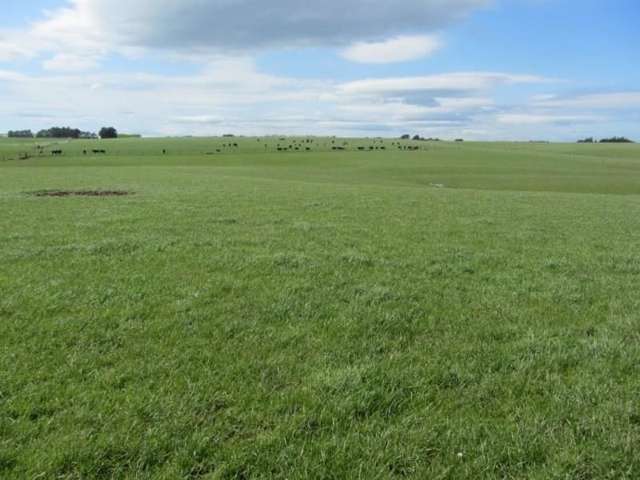 520 Waipango Ermedale Road Riverton & Surrounds_1