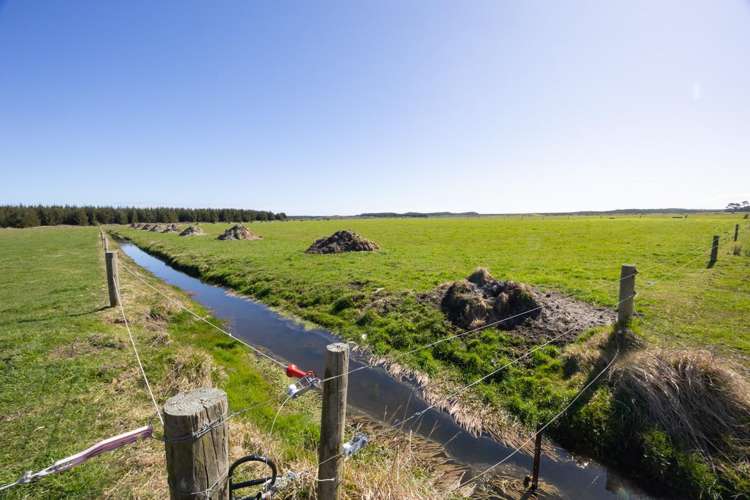 526 Lake Road Himatangi_17