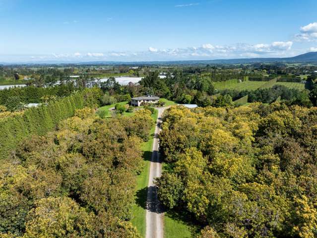 85 Wharawhara Road Katikati_2