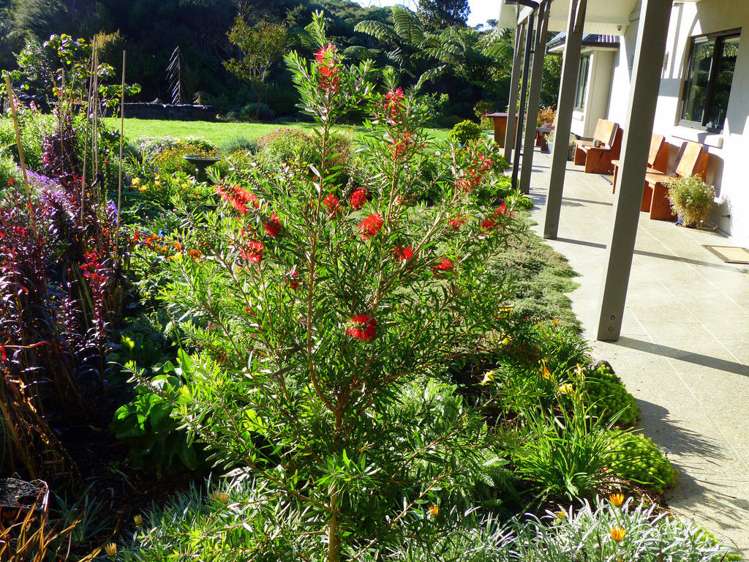 53 Kitewaho Road Swanson_89