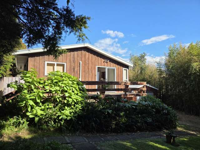 Price reduced - Hidden Gem