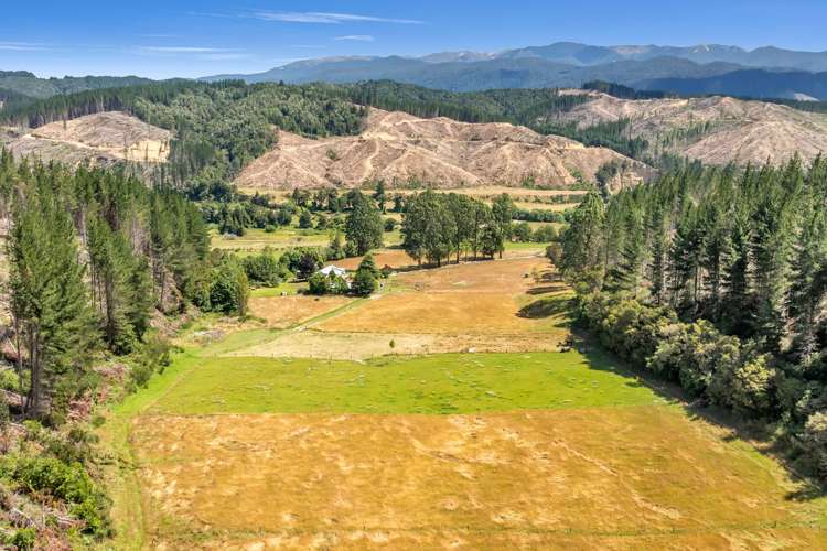 739 Tadmor-Glenhope Road Tapawera_19