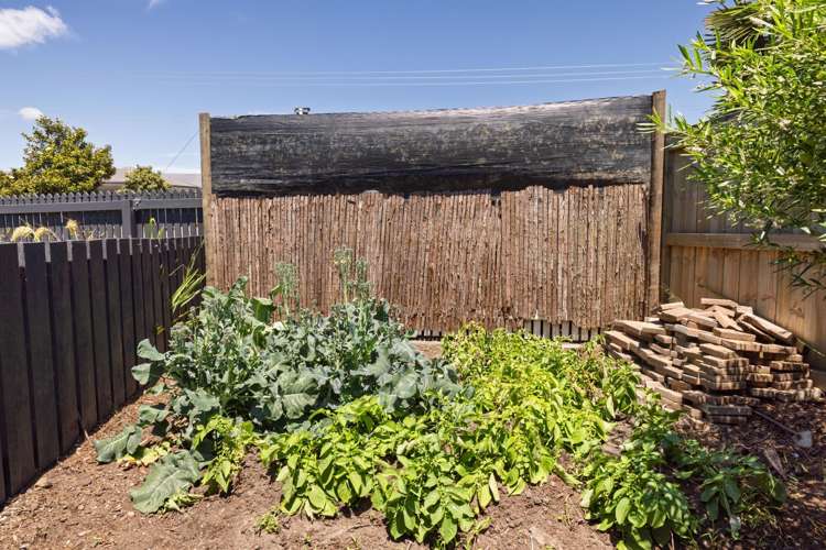 19 Macloughlin Drive Te Puke_19