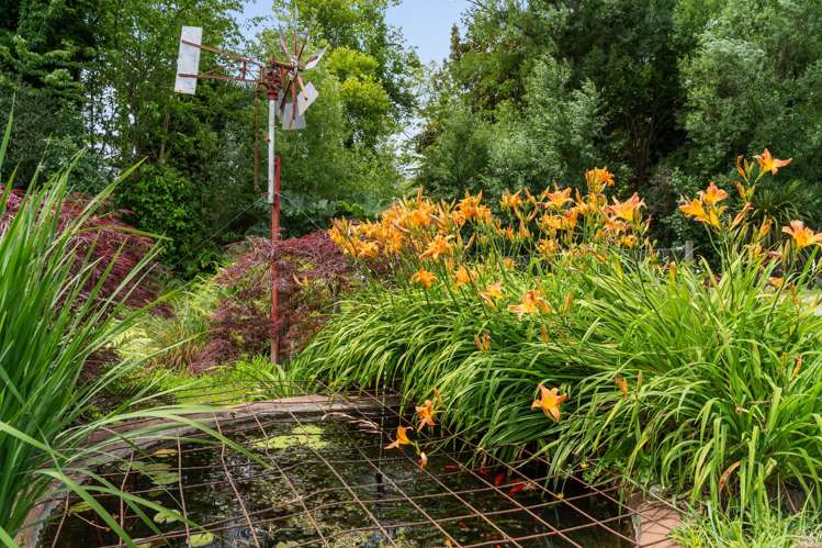 105A State Highway 30 Tikitere_44