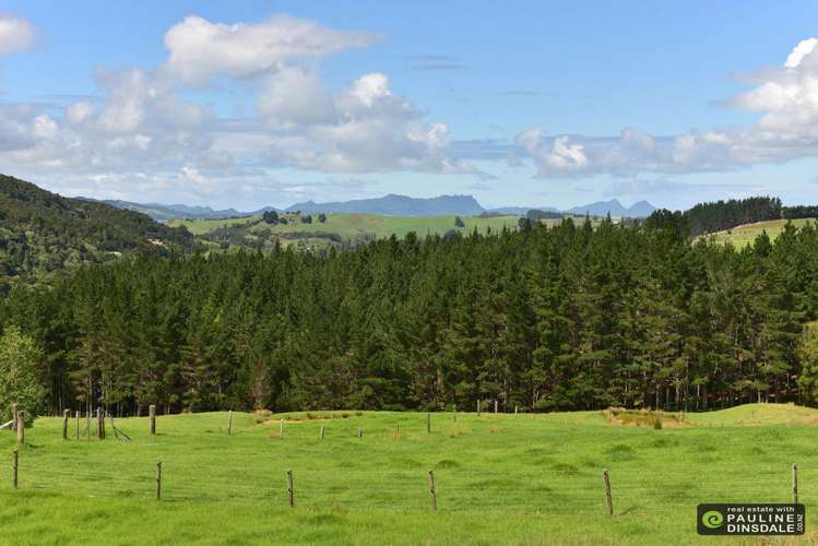 269 Otaika Valley Road Otaika_12