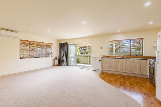 85a Racecourse Road Waipukurau and Surrounds_2