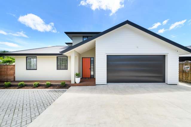 3a Carlton Avenue Palmerston North Central_3