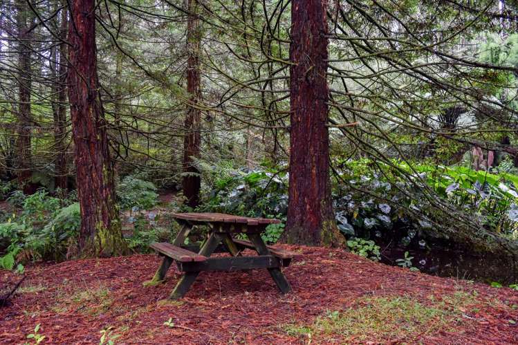 14 Tupelo Place Ohauiti_38