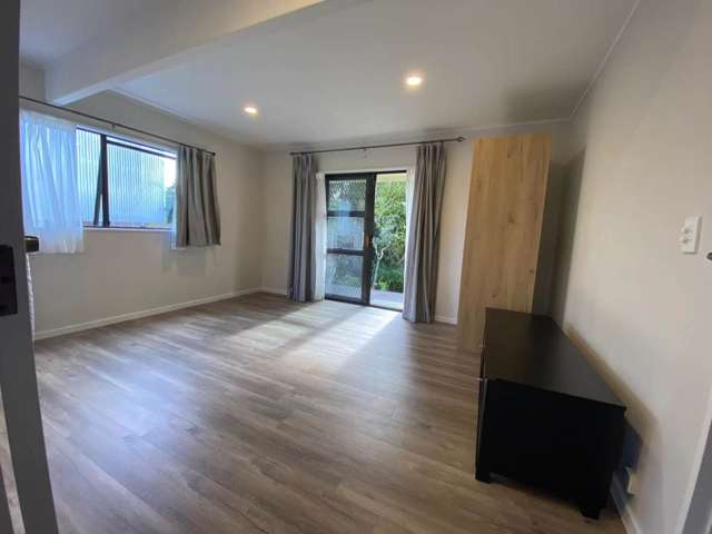 34a Kings Road Mount Roskill_2