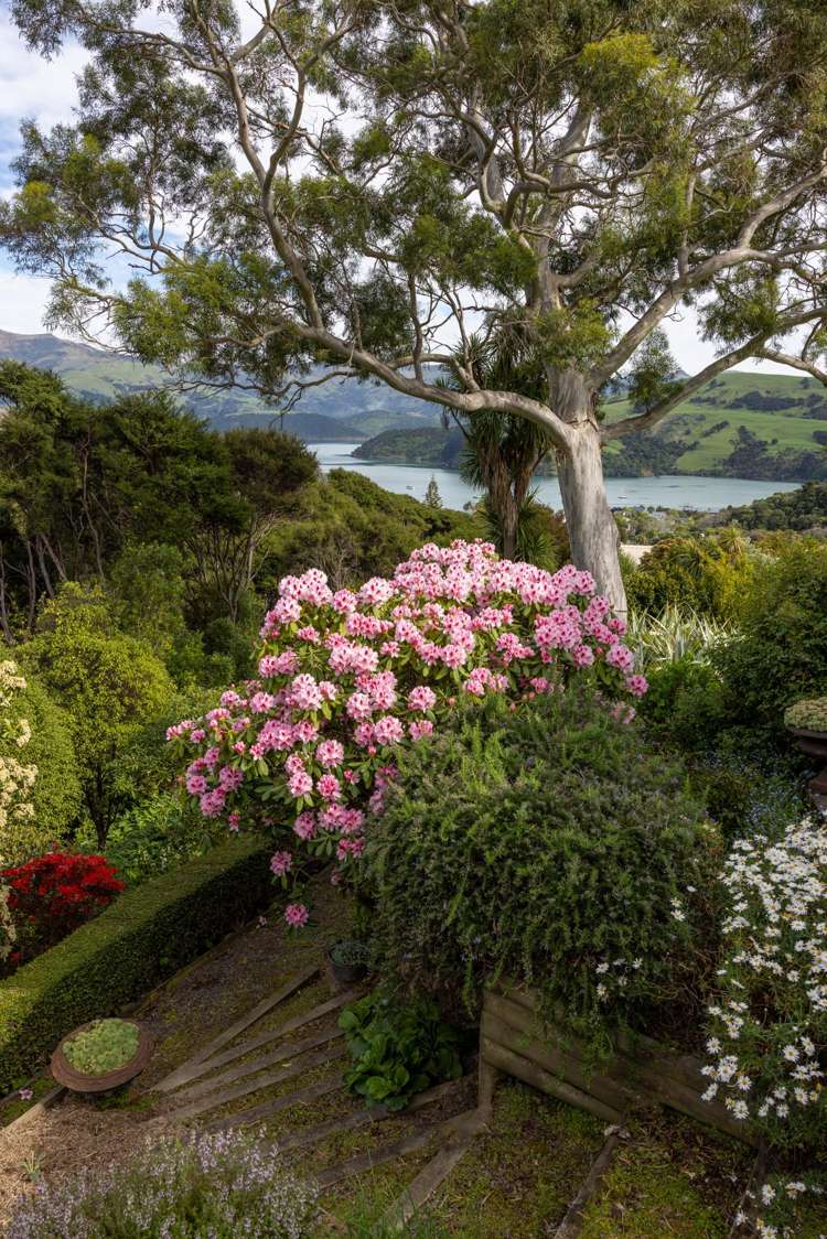 9 Rue Cachalot Akaroa_35