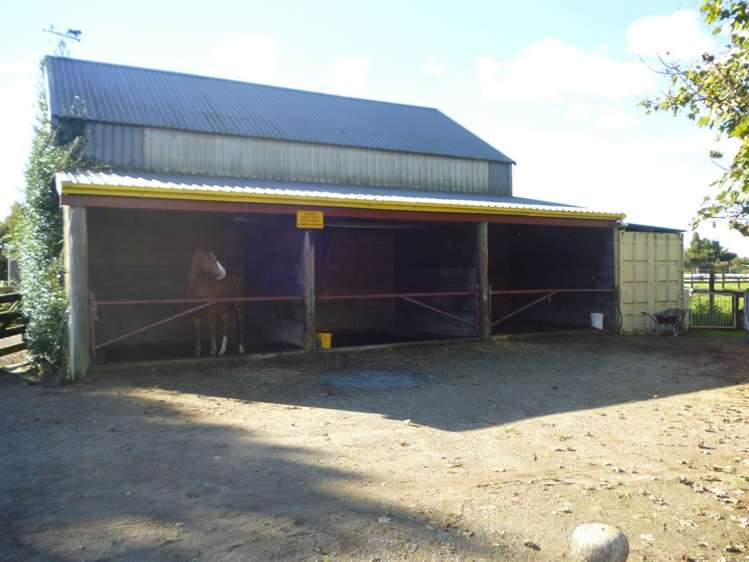 1375 Mcclure Street Pirongia_11